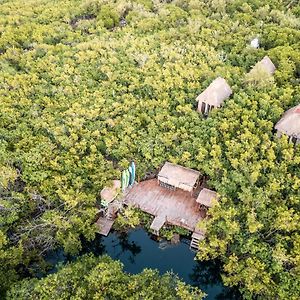 Manglex Eco Hotel Tulum